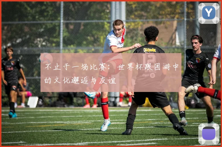 不止于一场比赛:世界杯跟团游中的文化邂逅与友谊