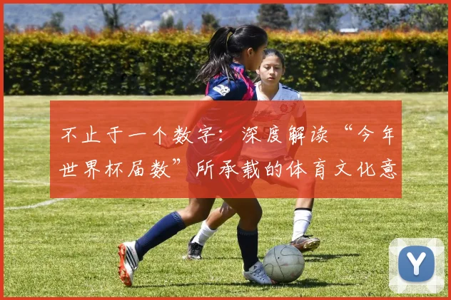 不止于一个数字:深度解读“今年世界杯届数”所承载的体育文化意义