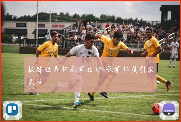 板球世界杯冠军出炉 冠军归属引发关注