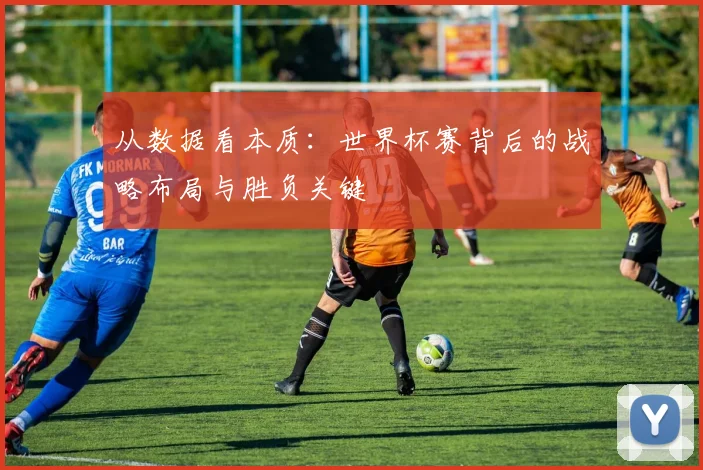 从数据看本质：世界杯赛背后的战略布局与胜负关键
