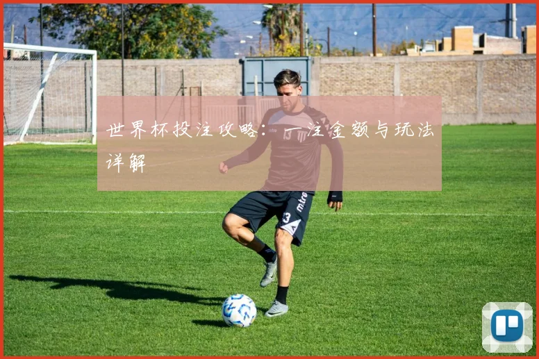 世界杯投注攻略:一注金额与玩法详解