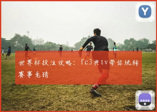 世界杯投注攻略：fc3典tv带你玩转赛事竞猜