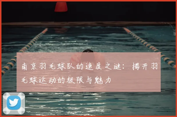 南京羽毛球队的速度之谜：揭开羽毛球运动的极限与魅力