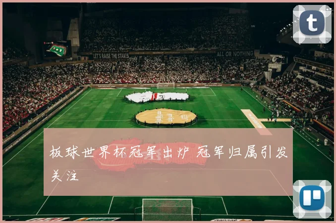 板球世界杯冠军出炉 冠军归属引发关注