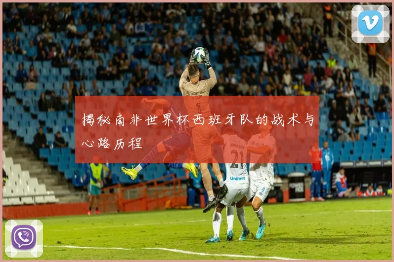 揭秘南非世界杯西班牙队的战术与心路历程