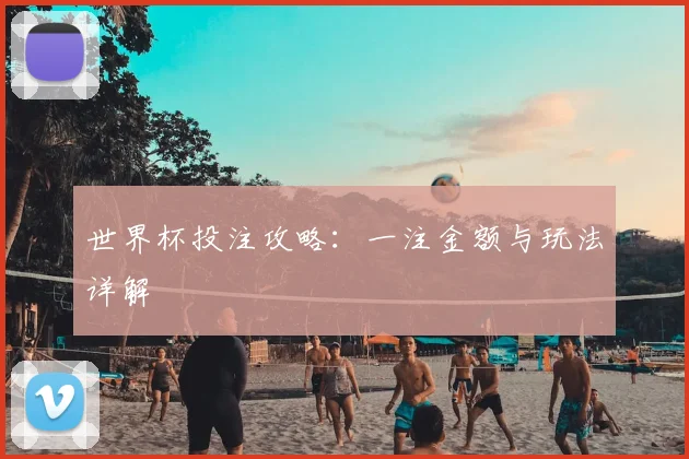 世界杯投注攻略：一注金额与玩法详解